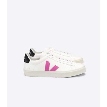 White/Purple Women's Veja CAMPO CHROMEFREE Low Tops Sneakers | AU 597FDN